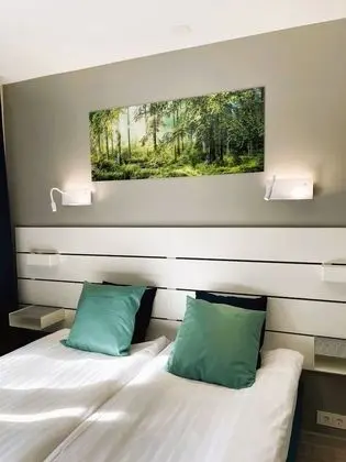 Tek Büyük veya İki Ayrı Yataklı Oda, Park Manzaralı