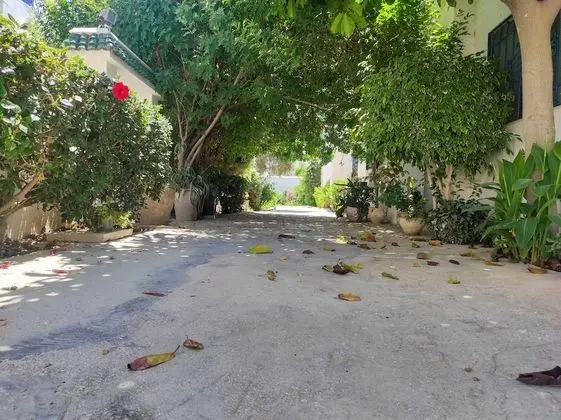 Ev, 1 Yatak Odası, Engellilere Uygun, Buzdolabı