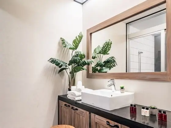 Deluxe Süit, Sigara İçilmez, Okyanus Manzaralı