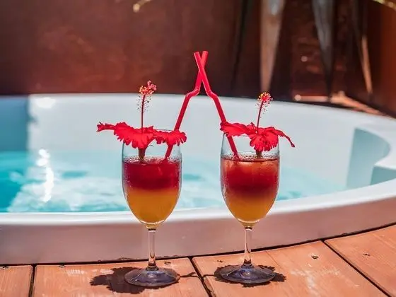 Deluxe Süit, Sigara İçilmez, Okyanus Manzaralı