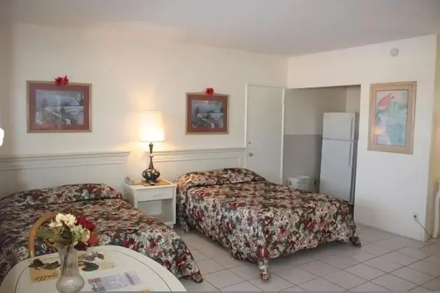 Deluxe Oda, 2 Çift Kişilik Yatak, Sigara İçilmez