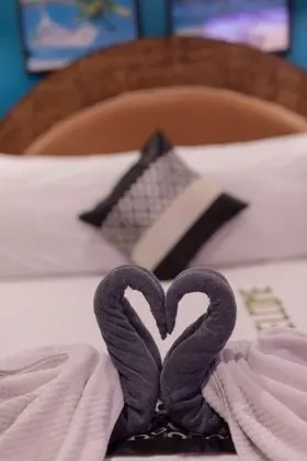 Superior Tek Büyük Yataklı Oda