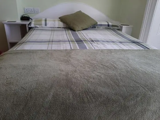 Standard Tek Büyük Yataklı Oda, 1 Çift Kişilik Yatak