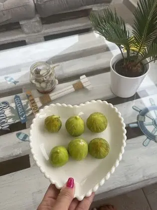 Family Ev, 2 Yatak Odası, Teras, Deniz Manzaralı