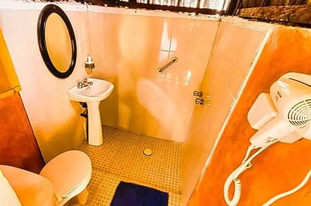 Çatı Katı (Loft), 1 Yatak Odası