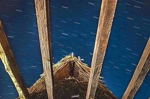 Çatı Katı (Loft), 1 Yatak Odası