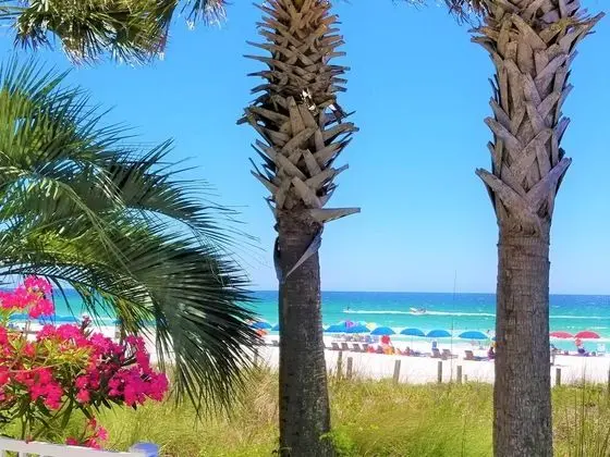 Ev (Beachside Sunrise at PCB New 226 Mbps)