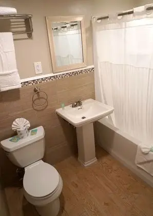 Standard Stüdyo, 2 Çift Kişilik Yatak, Sigara İçilmez, Küçük Mutfak