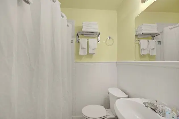 Standard Tek Büyük Yataklı Oda, 2 Çift Kişilik Yatak, Sigara İçilmez