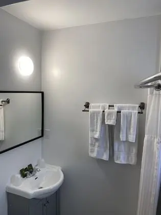 Deluxe Tek Büyük Yataklı Oda, 1 Yatak Odası, Buzdolabı ve Mikrodalga, Zemin Kat