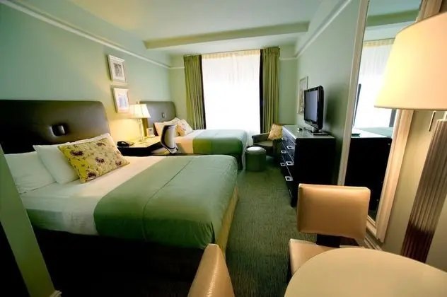 Deluxe Stüdyo, 2 Çift Kişilik Yatak