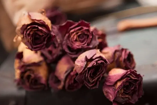 Superior Süit, 1 Yatak Odası, Küvet, Bahçe Manzaralı