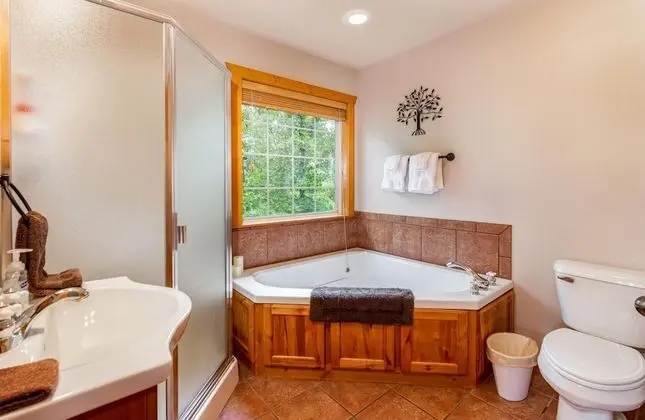 Daire (Bear Cabin Getaway - Close to SDC - F)