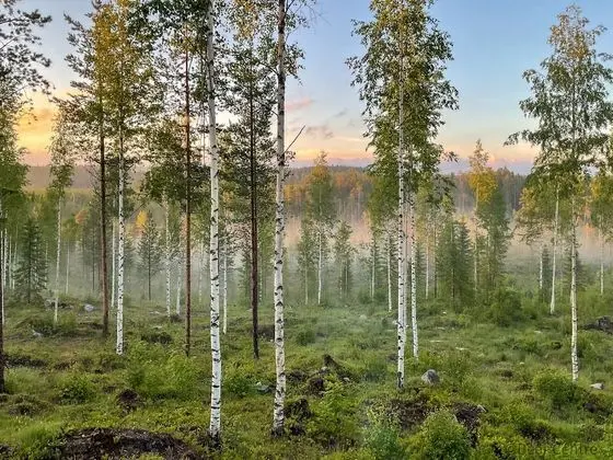 Luxury Kulübe, 1 Büyük (Queen) Boy Yatak, Park Manzaralı, Yamaçta