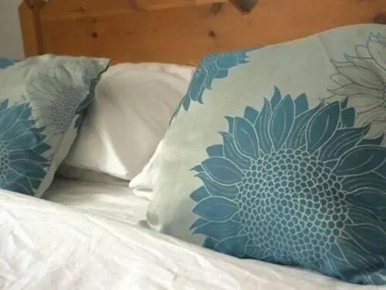 Tek Büyük Yataklı Oda, Banyolu/Duşlu