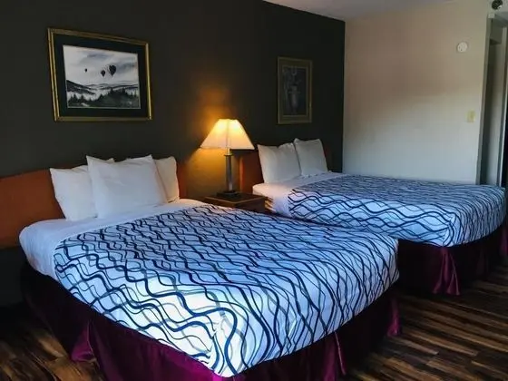 Deluxe Oda, 2 Çift Kişilik Yatak