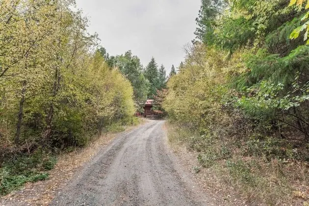 Kulübe, Birden Çok Yatak (Bear Ridge Cabin)