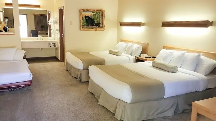 Üç Kişilik Oda, Birden Çok Yatak, Sigara İçilmez (Pet Friendly)