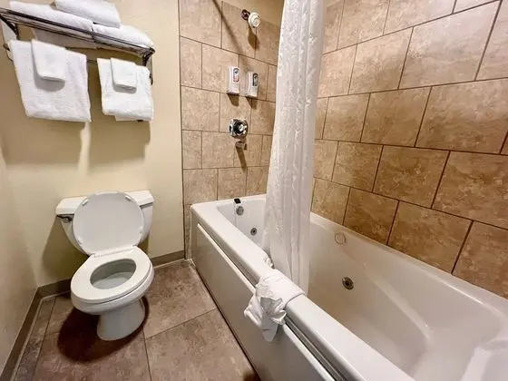 Üç Kişilik Oda, Birden Çok Yatak, Sigara İçilmez (Pet Friendly)