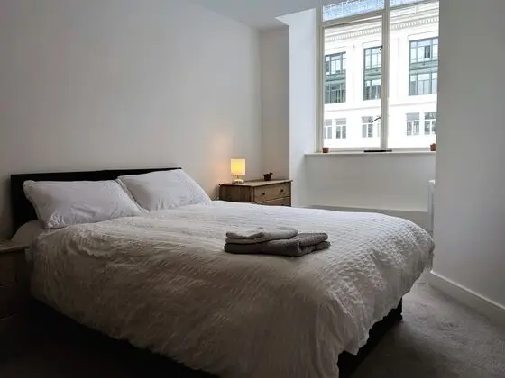 Exclusive Apart Daire, 1 Yatak Odası, Sigara İçilmez, Mutfak