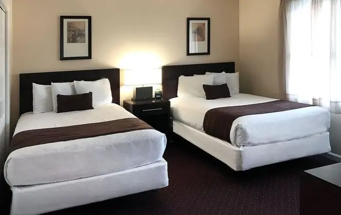 Deluxe Süit, 2 Çift Kişilik Yatak