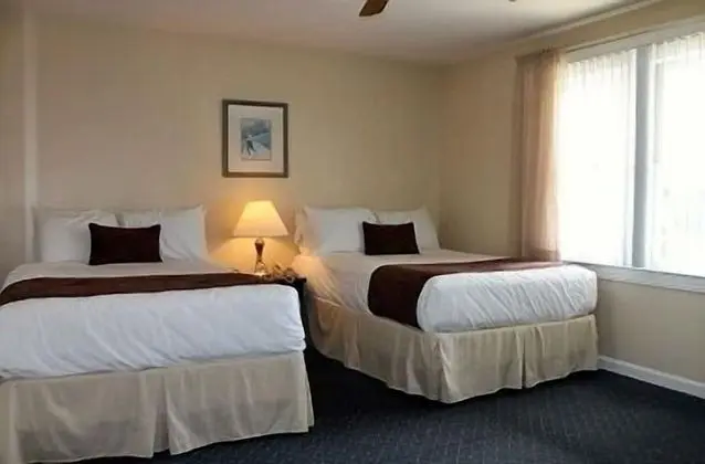 Deluxe Süit, 2 Çift Kişilik Yatak