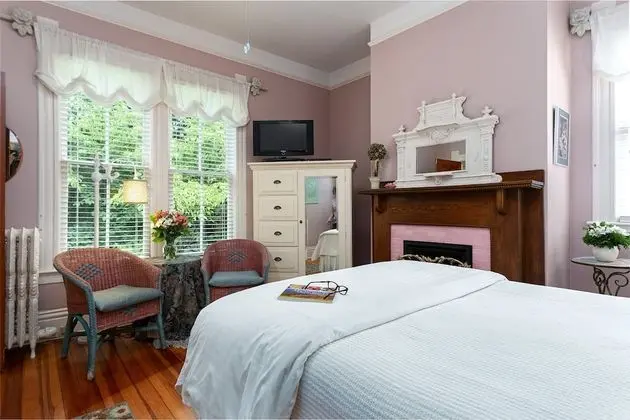 Deluxe Tek Büyük Yataklı Oda, 1 Büyük (Queen) Boy Yatak (The Haseltine Room)