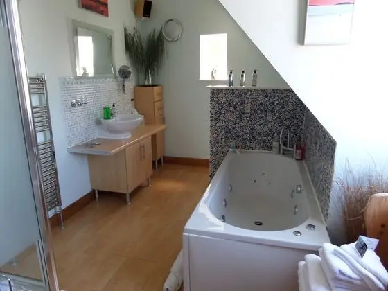 Romantic Tek Büyük Yataklı Oda (Spa 2)