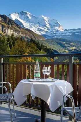 Family Oda, Balkon, Dağ Manzaralı (Jungfrau)