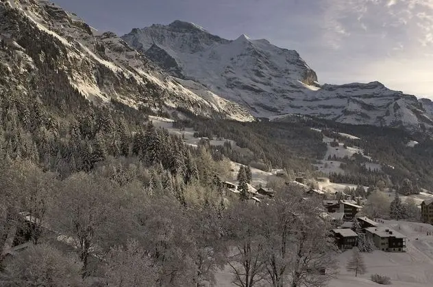 Family Oda, Balkon, Dağ Manzaralı (Jungfrau)