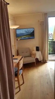 Tek Kişilik Oda, Balkon, Dağ Manzaralı (Jungfrau)