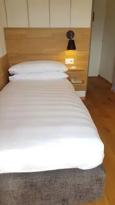 Tek Kişilik Oda, Balkon, Dağ Manzaralı (Jungfrau)