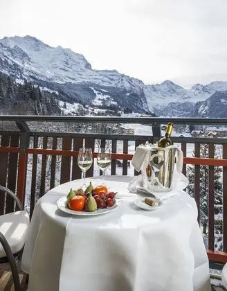 Tek Kişilik Oda, Balkon, Dağ Manzaralı (Jungfrau)