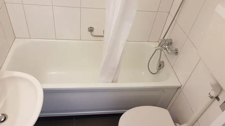 Tek Kişilik Oda, Balkon, Dağ Manzaralı (Jungfrau)