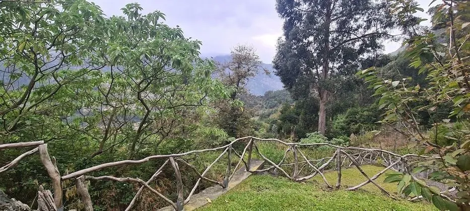 Kır Evi, 1 Büyük (Queen) Boy Yatak ve Çekyat