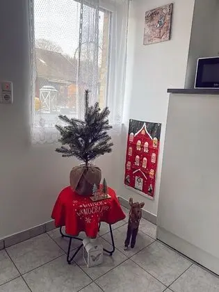 Ev, 1 Büyük (Queen) Boy Yatak