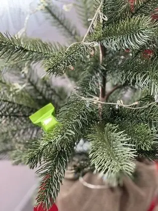 Ev, 1 Büyük (Queen) Boy Yatak