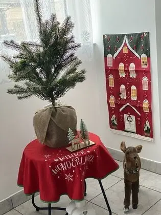 Ev, 1 Büyük (Queen) Boy Yatak