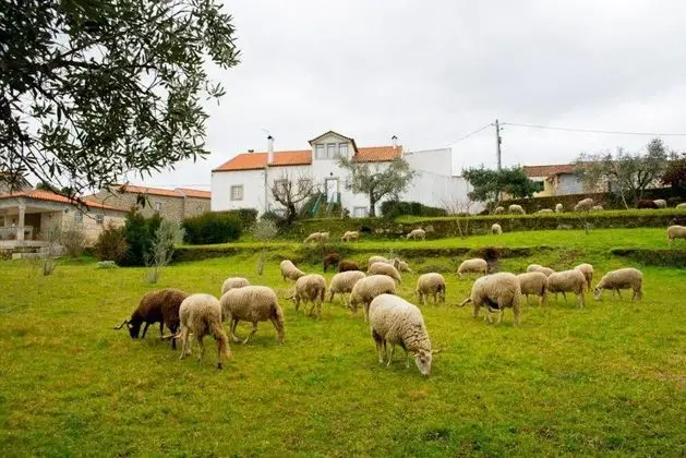 Villa, Birden Çok Yatak