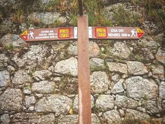 Villa, Birden Çok Yatak