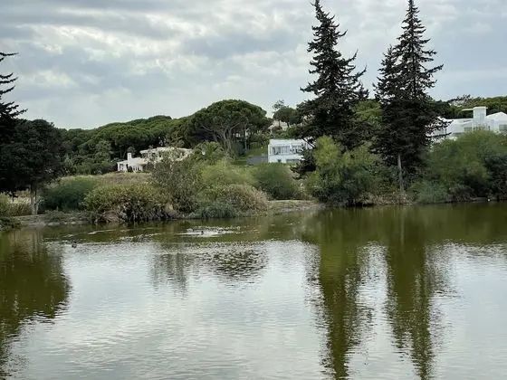 Apart Daire, Birden Çok Yatak