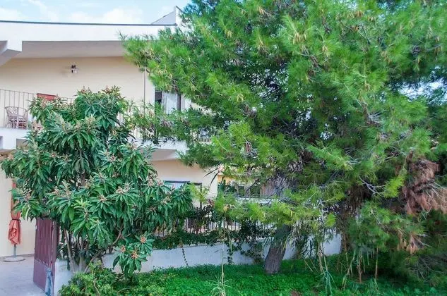 Ev, 1 Büyük (Queen) Boy Yatak