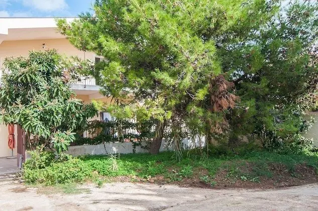 Ev, 1 Büyük (Queen) Boy Yatak