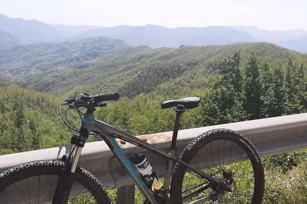 Ev, Birden Çok Yatak