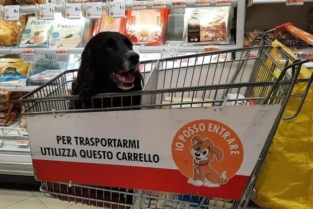 Ev, Birden Çok Yatak