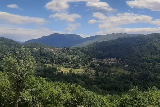 Ev, Birden Çok Yatak