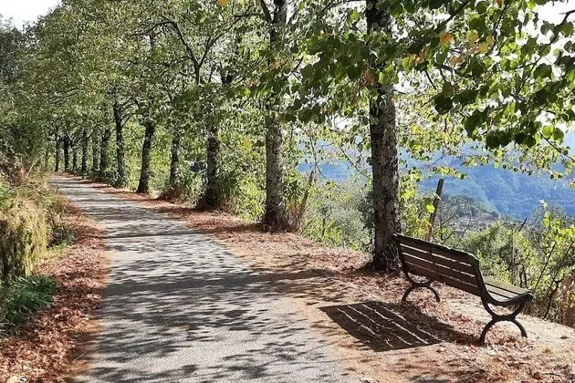 Ev, Birden Çok Yatak