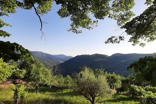 Ev, Birden Çok Yatak