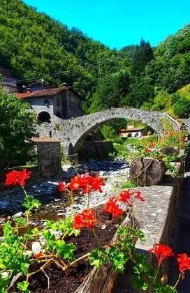 Ev, Birden Çok Yatak