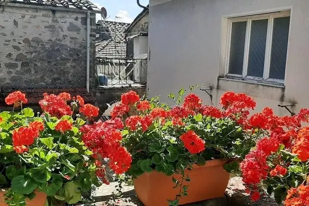 Ev, Birden Çok Yatak